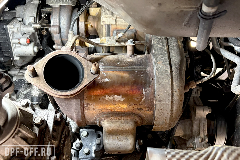 Удаление сажевого фильтра (DPF), отключение SCR (AdBlue), отключение клапана EGR на Hyundai Staria 2.2D