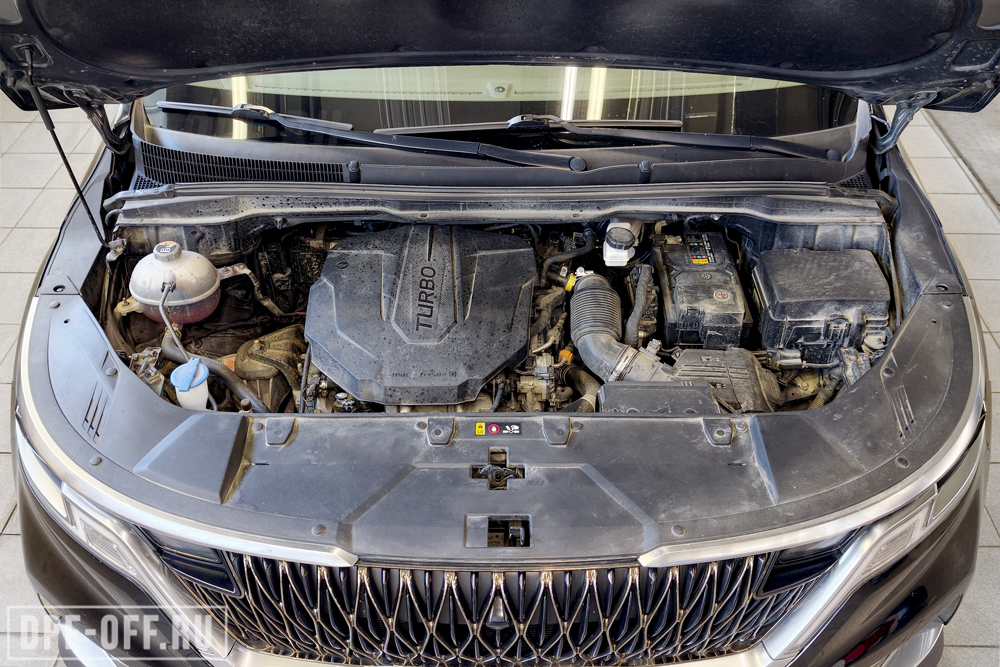 Удаление сажевого фильтра (DPF), отключение SCR (AdBlue), отключение клапана EGR на Kia Carnival IV 2.2D
